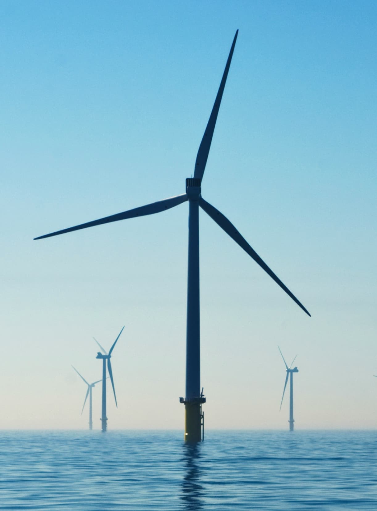 Green Technology + Sustainable Development